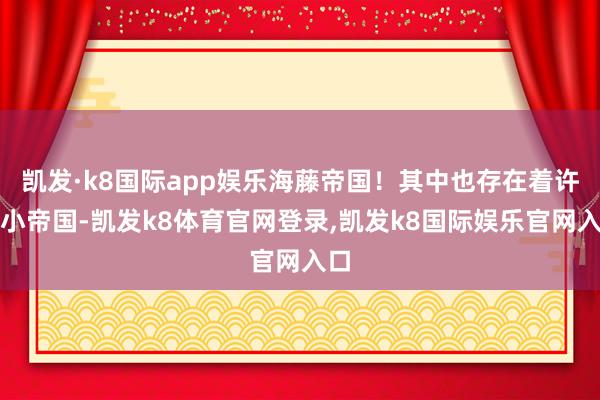 凯发·k8国际app娱乐海藤帝国！其中也存在着许多小帝国-凯发k8体育官网登录,凯发k8国际娱乐官网入口